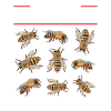 Beekeeper Beekeeping Beekeeper Bee Gift