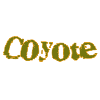 Coyote