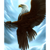 Aigle