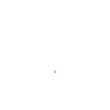First coffee, then dog care