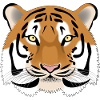 Tiger Kopf - farbig
