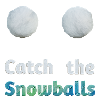 Catch The Snowballs