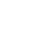 Born in 1953