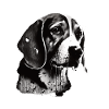 Portrait d’image de Beagle