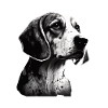 Portrait d’image de Beagle