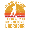 Football and Labrador