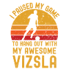 Football and Vizsla