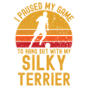 Football and Silky-Terrier