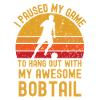Fußball und Bobtail