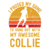Football and Collie