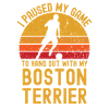 Football et Boston Terriers