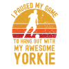 Football et Yorkshire Terriers