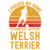 Football et Welsh Terriers