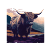 Highland cow
