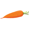 Carrot