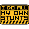 all my own stunts