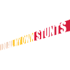 all my own stunts