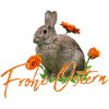 Frohe Ostern Osterhase
