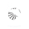 Unique idea for Fishing