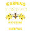 Bienenzucht und Honig