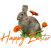 Happy Easter rabbit cony