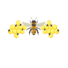 Bienenzucht und Honig