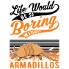 Armadillo Gift Armadillo