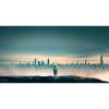 Lone robot