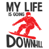 Snowboard Spruch für Snowboarder
