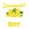 Lemonade Gift Ideas