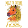 Phrase amusante sur le cheval