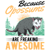 Because Opossums are freaking awesome