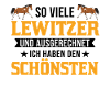 Lewitzer Pferd Reiterin