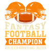 Fantasy football champion