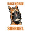 Cheval Humour Endurance Équitation