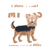 Yorkshire Terrier Drôle