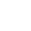 Stay Wild