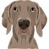 Marley