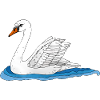 White bird