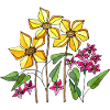 Blumen