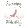 Pregnancy Photography Photographer Pregnant