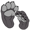 Grey Paws