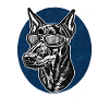 Doberman Deluxe