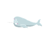 Procrastinating Narwhal Lover Aquatic Animals