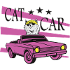 Cat Car
