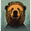 Bear Bear Illustration