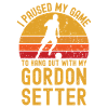 Football et Gordon-Setter