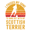 Football et Scottish-Terrier