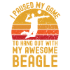 Volleyball et Beagle