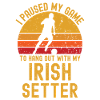 Football and Irish-Setter